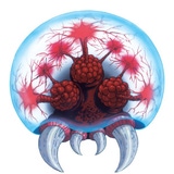 burgerkingsauce's Avatar'