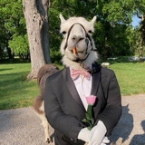 verdantalarm's Avatar'