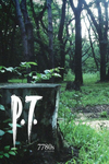 P.T. Box Art